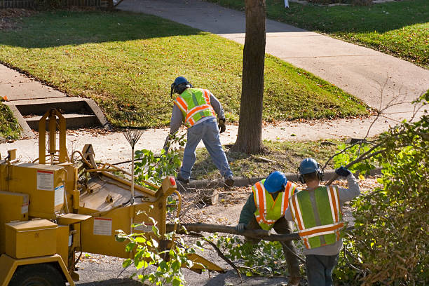 Best Tree Preservation Services  in Prestbury, IL